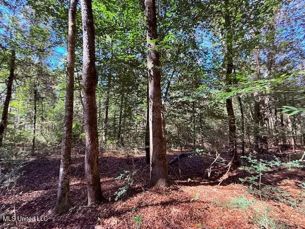 $75,000 | 427 Ginntown Road, Tylertown, MS 39667