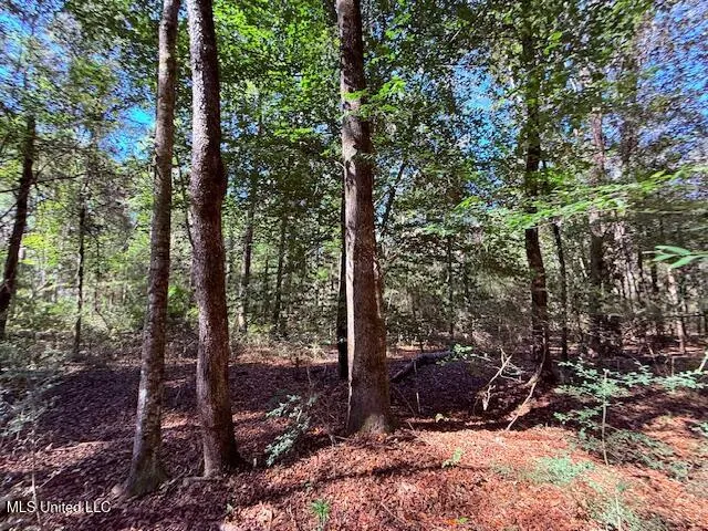 $75,000 | 427 Ginntown Road, Tylertown, MS 39667