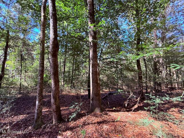 427 Ginntown Road Tylertown, MS 39667 - Photo 4 of 20 IMG_1079