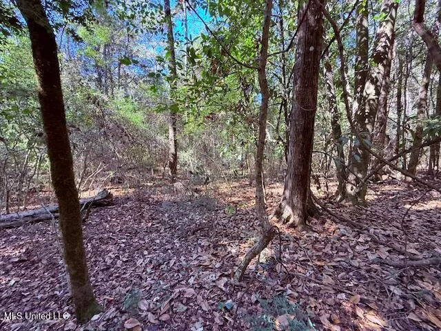 $75,000 | 427 Ginntown Road, Tylertown, MS 39667