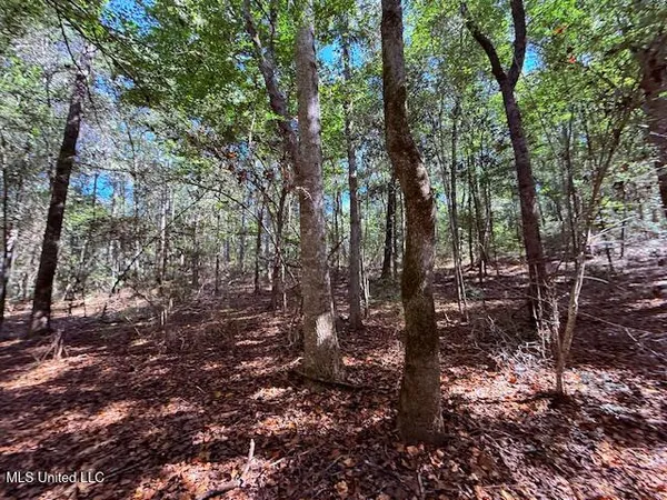 $75,000 | 427 Ginntown Road, Tylertown, MS 39667