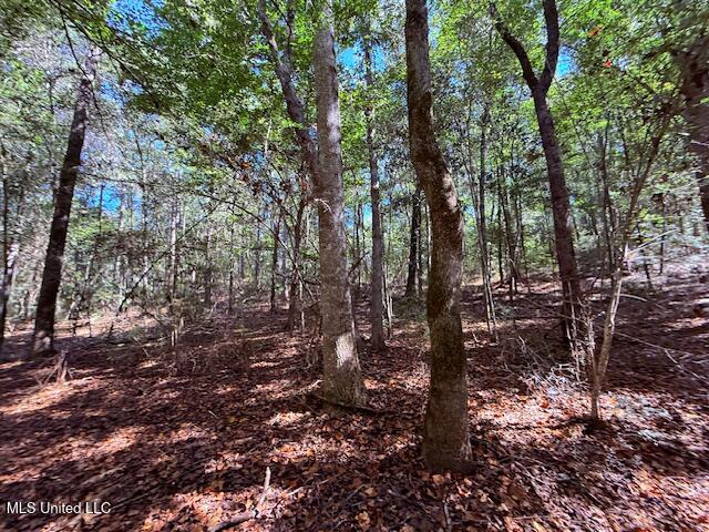 427 Ginntown Road Tylertown, MS 39667 - Photo 6 of 20 IMG_1083