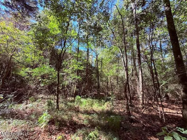 $75,000 | 427 Ginntown Road, Tylertown, MS 39667