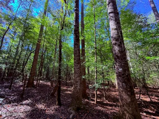 $75,000 | 427 Ginntown Road, Tylertown, MS 39667