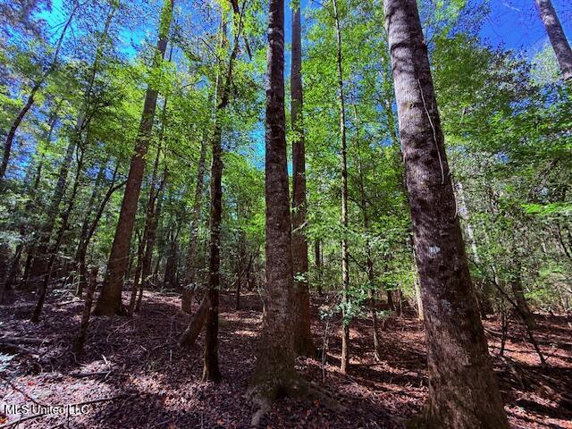 427 Ginntown Road Tylertown, MS 39667 - Photo 8 of 20 IMG_1086