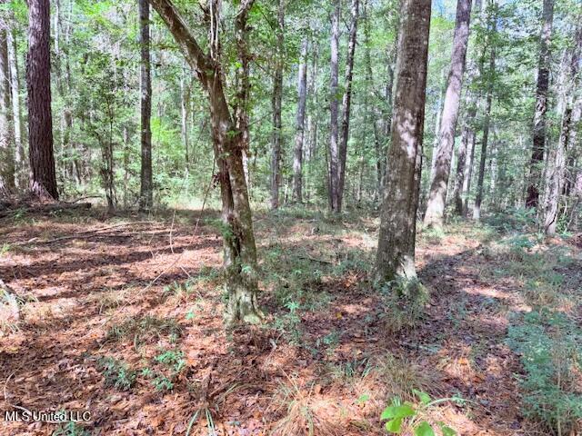 427 Ginntown Road Tylertown, MS 39667 - Photo 9 of 20 IMG_1088