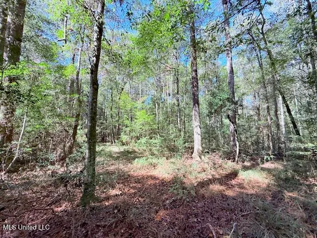 $75,000 | 427 Ginntown Road, Tylertown, MS 39667