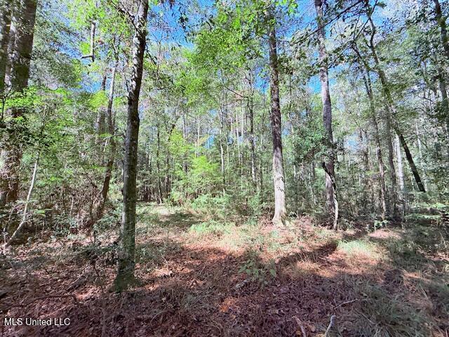 427 Ginntown Road Tylertown, MS 39667 - Photo 10 of 20 IMG_1089