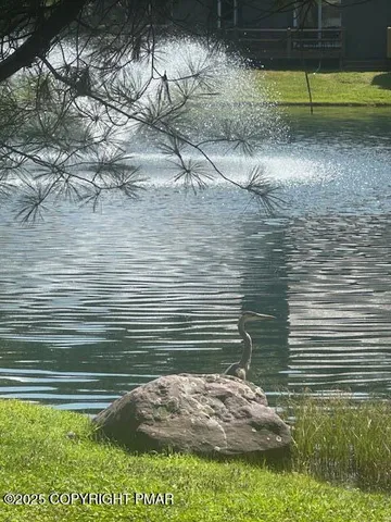 a living room with furniture and a view of kitchen