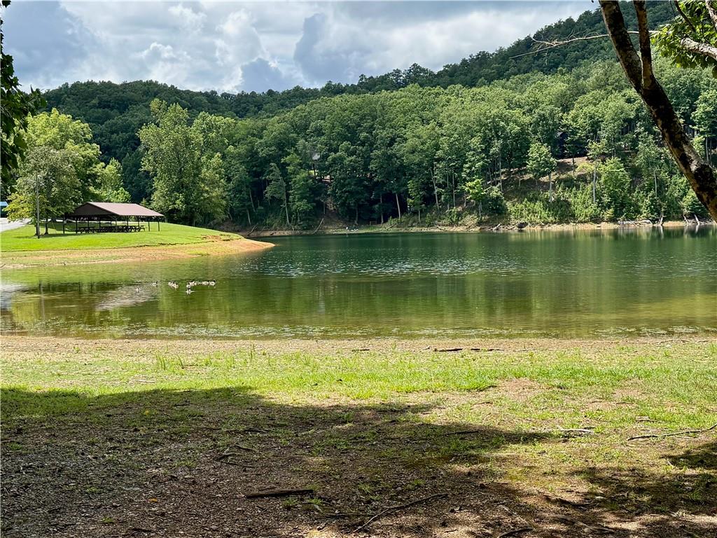 Lot 7 Stirratt Road Ranger, GA 30734 - Photo 17 of 20 Gallery Image 17