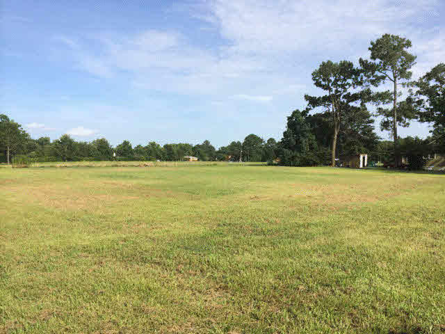 0 Buck Road Robertsdale, AL 36567 - Photo 1 of 1