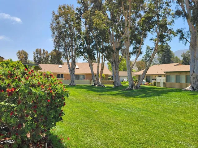 a view of a garden with a tree
