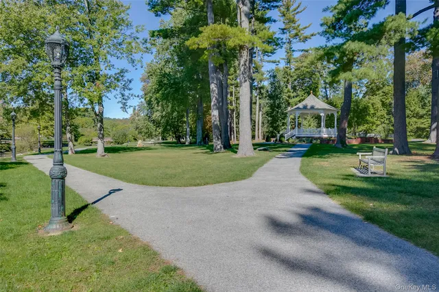 a view of a park with large trees
