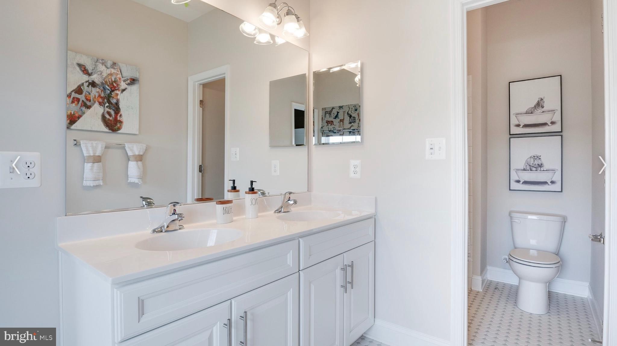 2686 B Jennings Chapel Road Woodbine, MD 21797 - Photo 20 of 63 a bathroom with a sink a toilet and a mirror