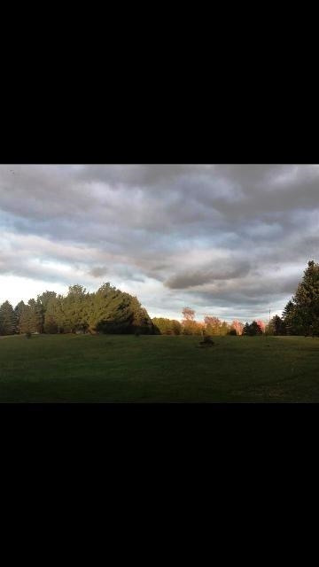 12742 Clinton Road Clinton, MI 49236 - Photo 46 of 46 Photo 46