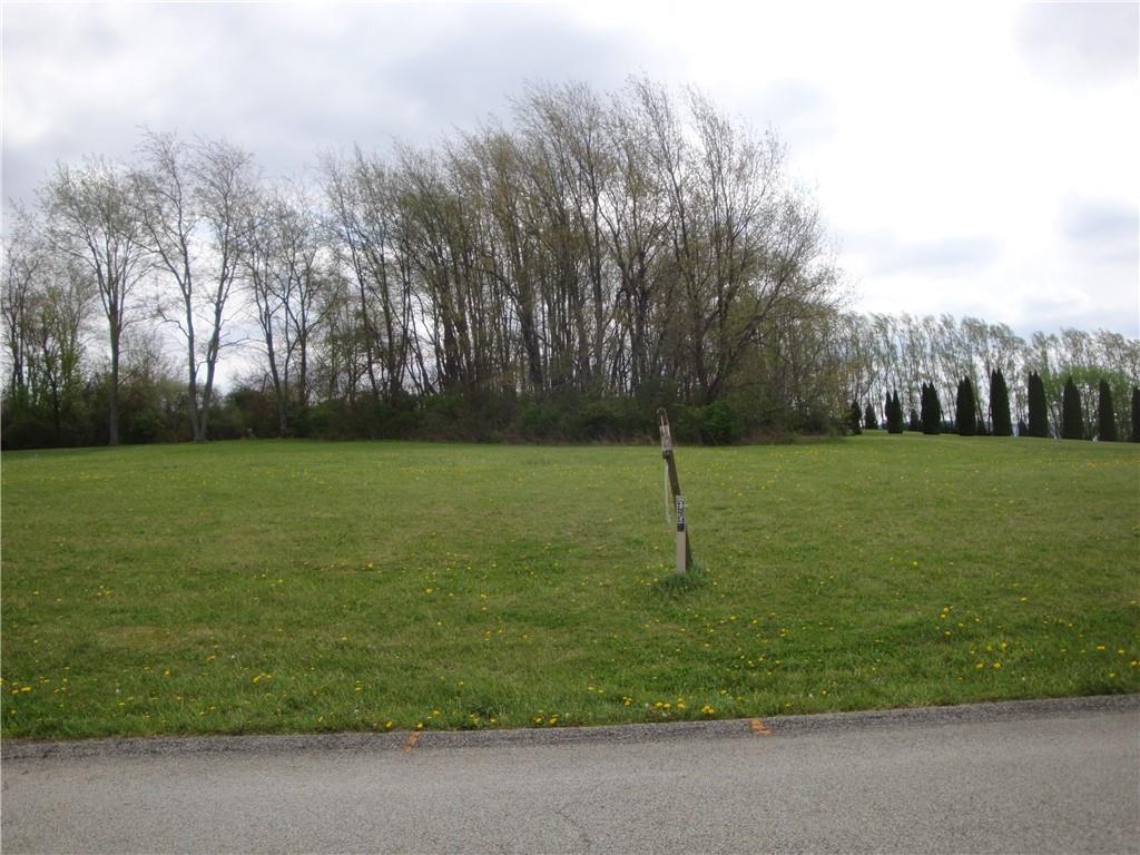 a view of a field with trees