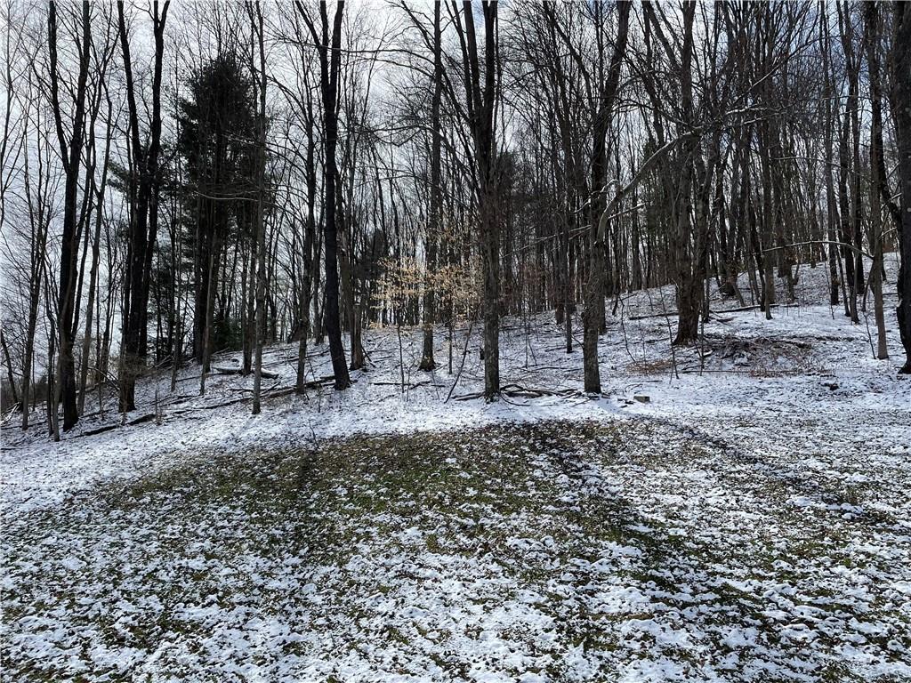 1723 Pine Vale Road Marion Center, PA 15759 - Photo 4 of 25 a view of outdoor space with trees