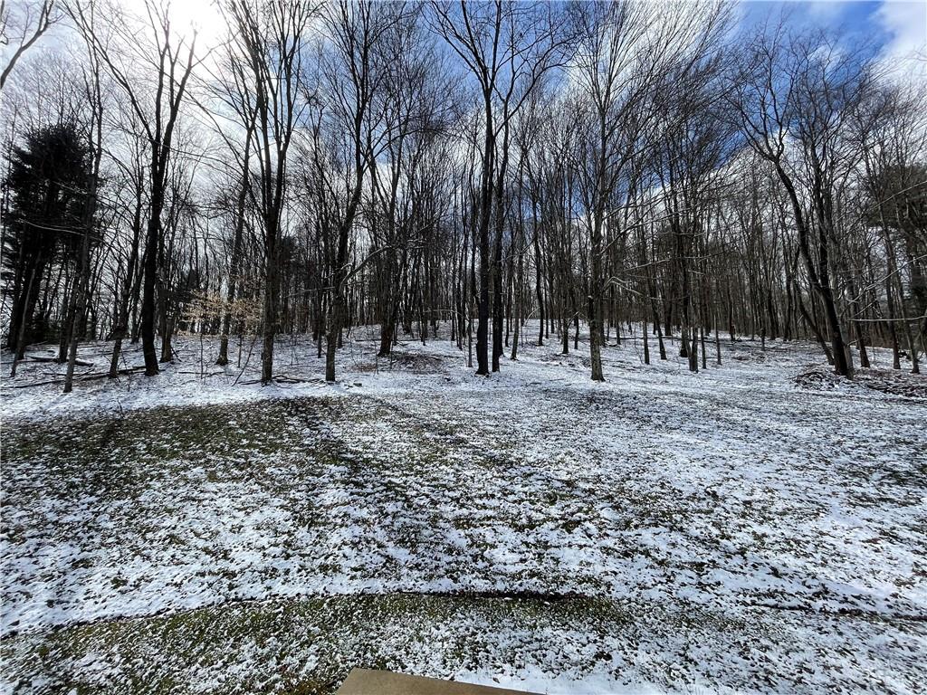 1723 Pine Vale Road Marion Center, PA 15759 - Photo 5 of 25 a view of road with trees