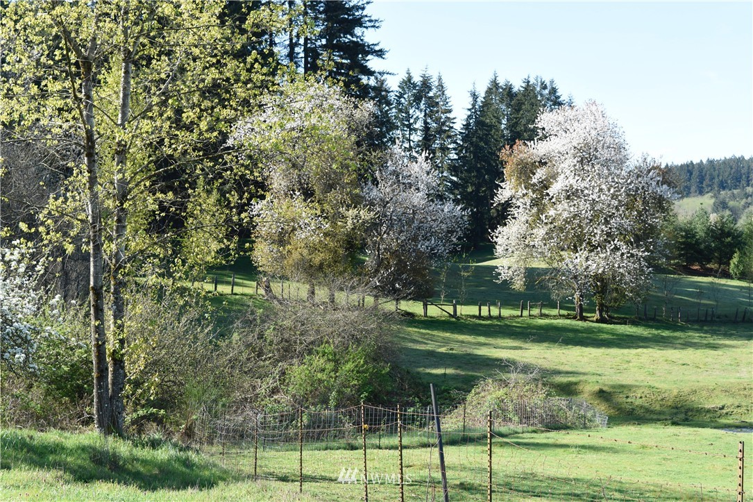 5922 Dogwood Road Southeast Port Orchard, WA 98367 - Photo 2 of 24 Gallery Image 2