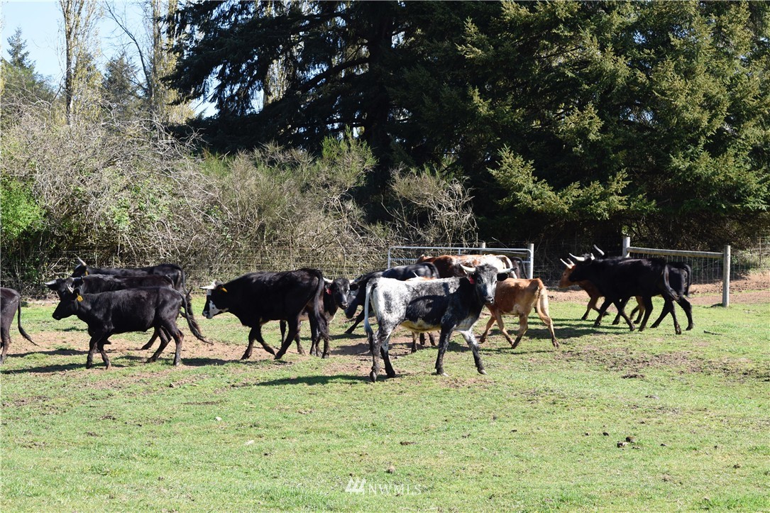 5922 Dogwood Road Southeast Port Orchard, WA 98367 - Photo 23 of 24 Gallery Image 23
