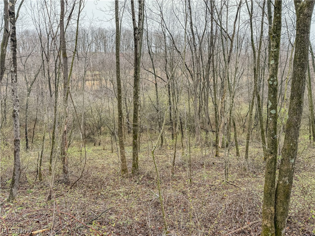 Buck Hill Road Frazeysburg, OH 43822 - Photo 7 of 24