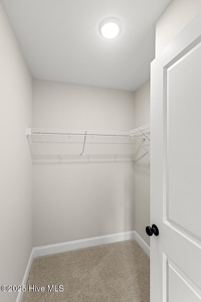 574 Poppleton Drive Hampstead, NC 28443 - Photo 28 of 33 425A5133