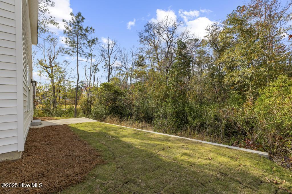 574 Poppleton Drive Hampstead, NC 28443 - Photo 33 of 33 425A5146