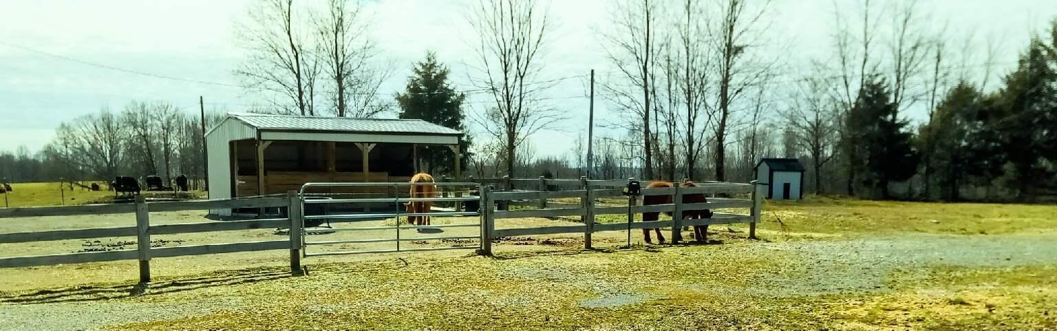 1332 Nubbin Ridge Road Dunnville, KY 42528 - Photo 45 of 54 image000001001