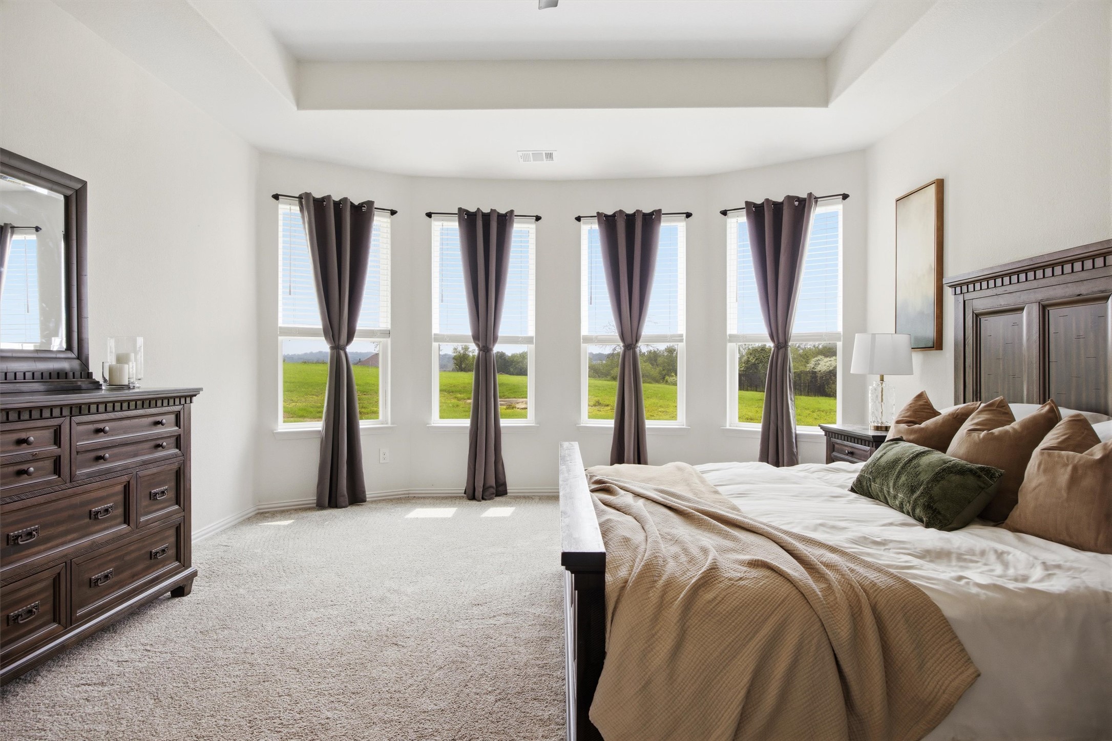 192 Raptor Beak Way Cedar Creek, TX 78612 - Photo 15 of 38 Bedroom featuring a tray ceiling, light gray carpeting, and a bay window with five vertical windows overlooking a green landscape