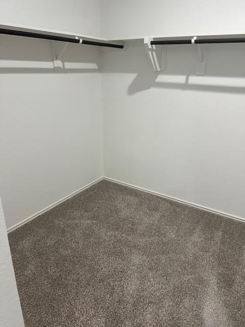 5227 Castlebury Meadows Drive Spring, TX 77373 - Photo 12 of 19