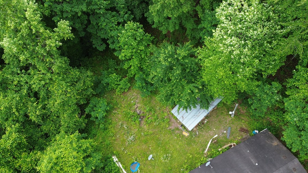 115 Calvender Road Turtletown, TN 37391 - Photo 13 of 23 a view of a garden