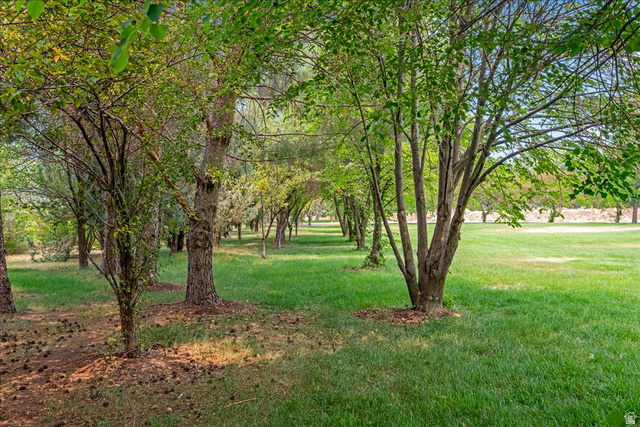 481 East Teancum Road Heber City, UT 84032 - Photo 14 of 89