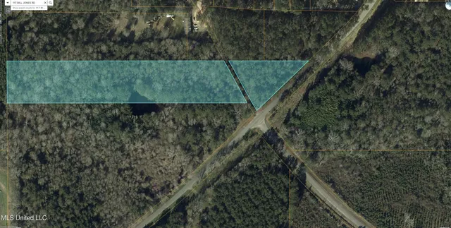 $44,800 | Bill Jones Rd Mount, Mount Olive, MS 39119
