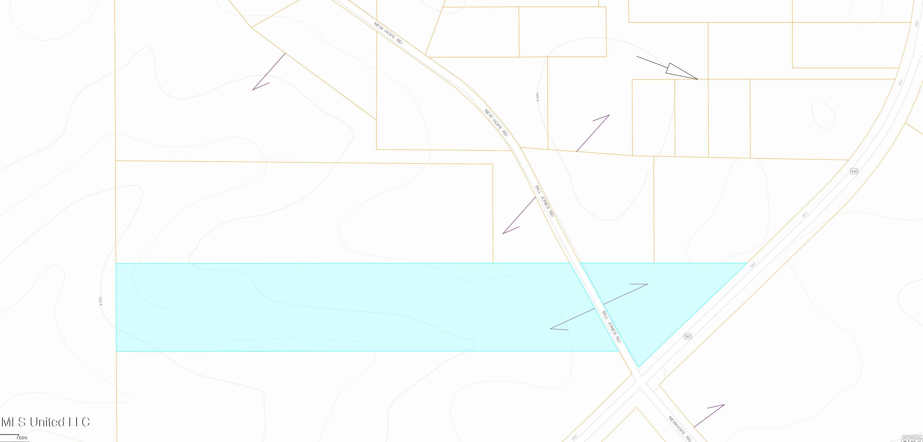 Bill Jones Rd Mount Mount Olive, MS 39119 - Photo 2 of 3 Screen Shot 2026-01-29 at 11.38.19 AM