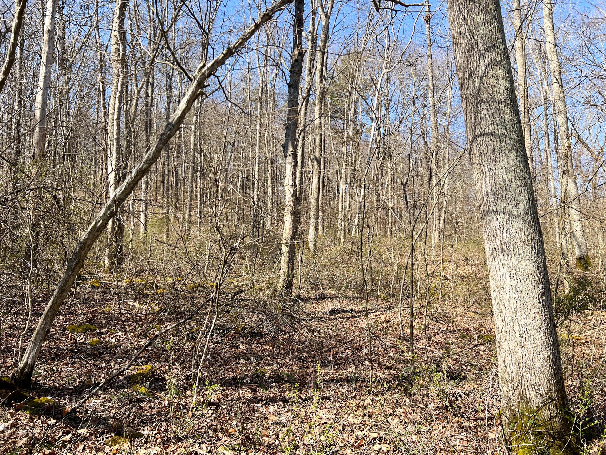0 Griffith Road Logan, OH 43138 - Photo 26 of 44 IMG_4847