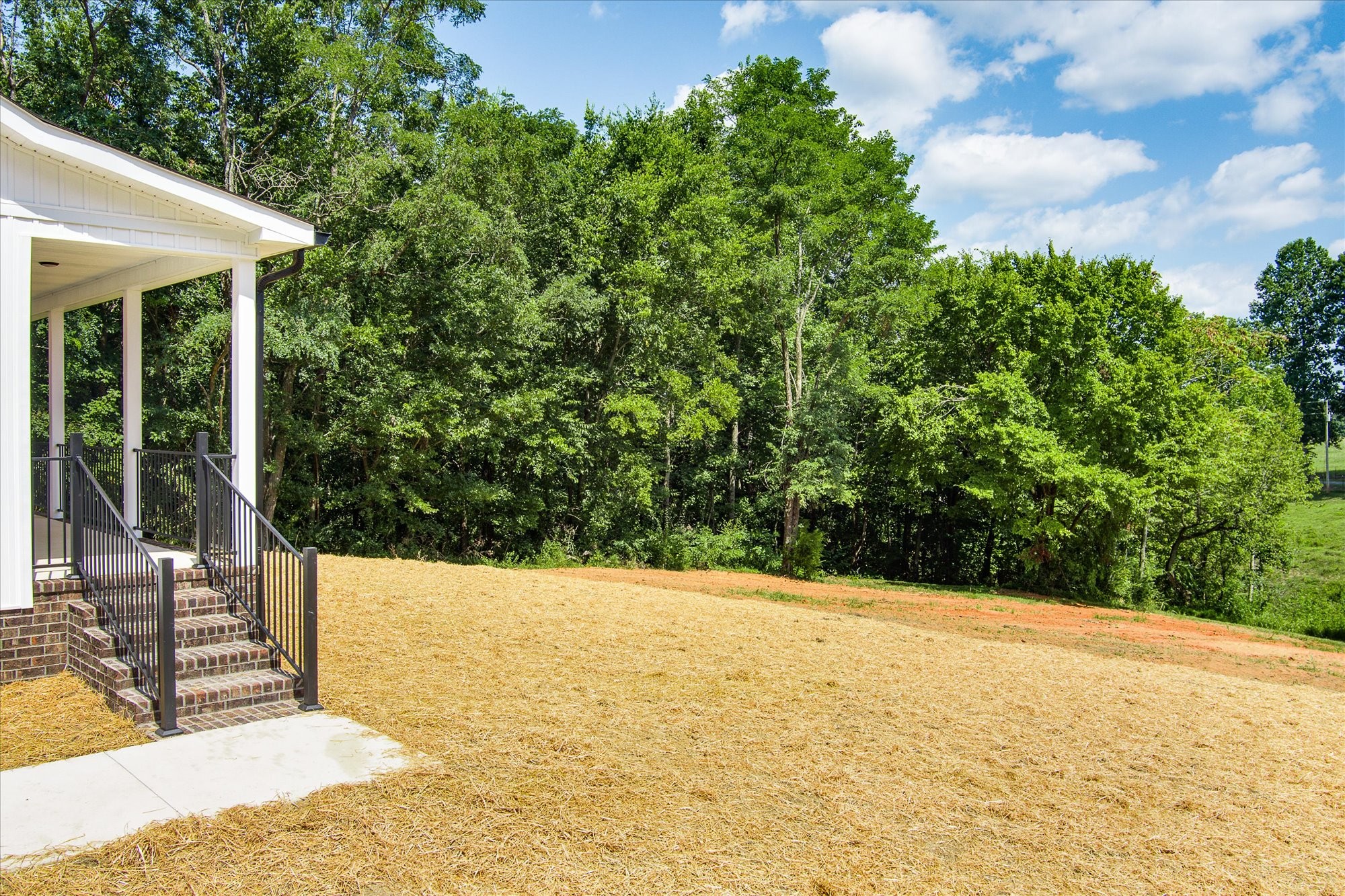 2385 Pea Ridge Fire Tower Road Celina, TN 38551 - Photo 6 of 34 Gallery Image 6