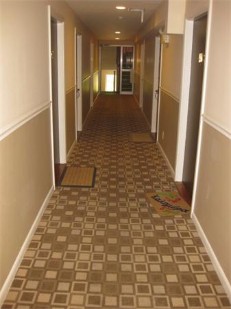 20 Radcliffe Road, Unit 411 Boston, MA 02134 - Photo 13 of 13 Gallery Image 13