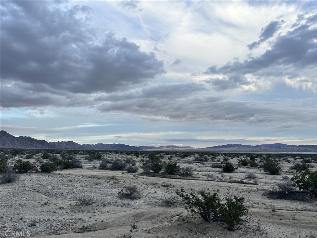 a view of a dry yard with wooden fence
