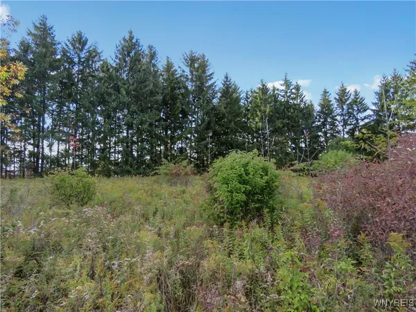 $124,900 | 11303 Holland Glenwood Road, Holland, NY 14080