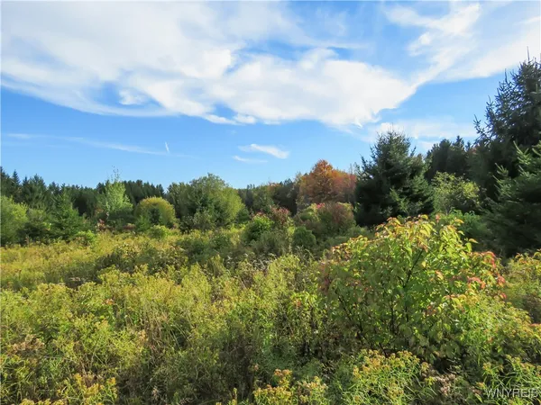 $124,900 | 11303 Holland Glenwood Road, Holland, NY 14080