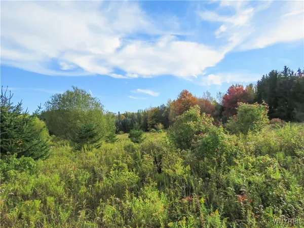 $124,900 | 11303 Holland Glenwood Road, Holland, NY 14080