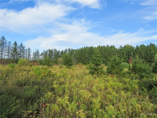 $124,900 | 11303 Holland Glenwood Road, Holland, NY 14080