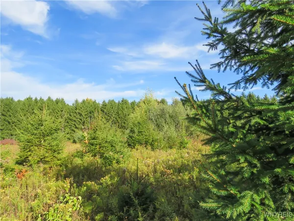 $124,900 | 11303 Holland Glenwood Road, Holland, NY 14080