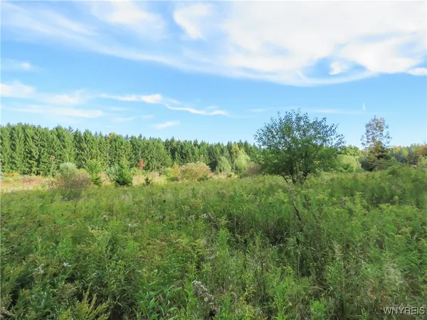 $124,900 | 11303 Holland Glenwood Road, Holland, NY 14080