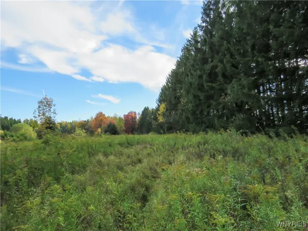 $124,900 | 11303 Holland Glenwood Road, Holland, NY 14080