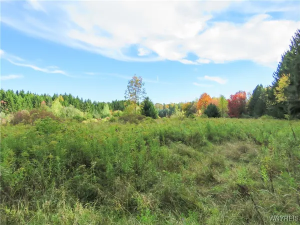 $124,900 | 11303 Holland Glenwood Road, Holland, NY 14080