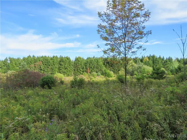 $124,900 | 11303 Holland Glenwood Road, Holland, NY 14080