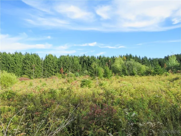 $124,900 | 11303 Holland Glenwood Road, Holland, NY 14080