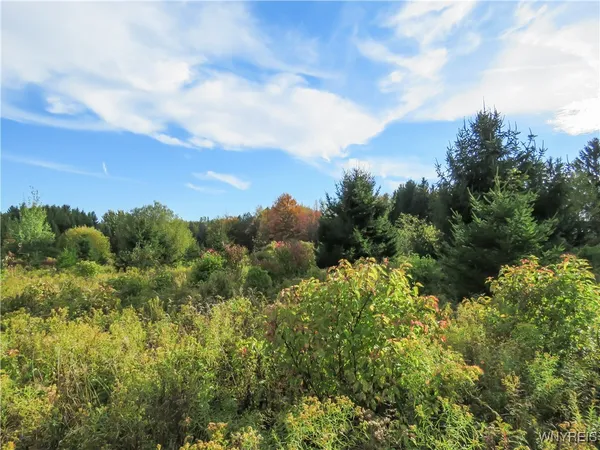 $124,900 | 11303 Holland Glenwood Road, Holland, NY 14080