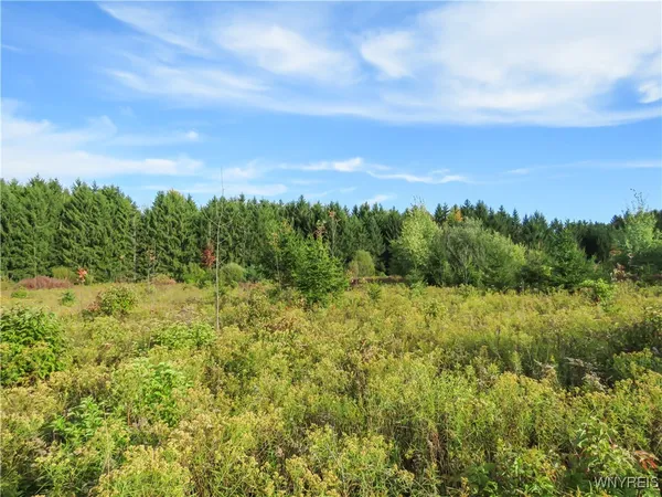 $124,900 | 11303 Holland Glenwood Road, Holland, NY 14080